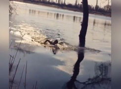 Первые купальщики Волжского уже поплавали