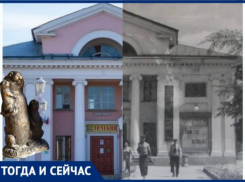 Стая сусликов поселилась на площади трех памятников в Волжском