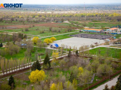 Тараканы, вонь с рынка и убийство у пивной: ТОП-5 новостей за неделю в Волжском