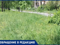 Заросли выше колен: жительница Волжского раскритиковала работу коммунальщиков