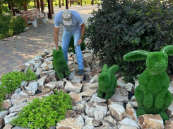 Молодой человек хотел украсть зайца из ПКиО «Волжский»