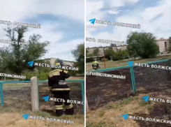 В Волжском загорелась школа из-за сухостоя