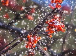 В день матери в Волжском будет солнечно