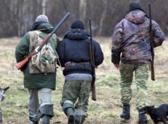 Сезон охоты на птиц в Волгоградском регионе завершен