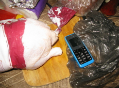 Волжанин привез сыну в воспитательную колонию курицу с сюрпризом