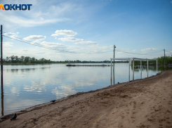Зачем наши предки поливали дубы собственной кровью: приметы