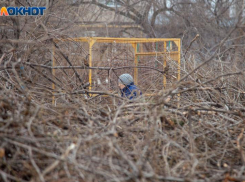В Волжском сообщили о скорой уборке веток из дворов города