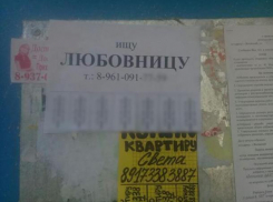 Волжанин ищет любовницу с помощью объявления на подъезде
