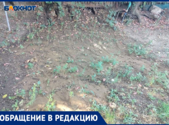 «Люди в безвыходной ситуации»: волжанку продолжает затапливать в СНТ «Мичуринец»
