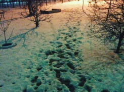 Волжане пожаловались на мартовскую зиму 