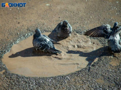 В День виагры на горизонте появится солнце