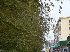 Сильный ветер и дождь пообещали метеорологи волжанам в день хлеба