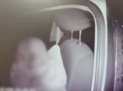 В Волгоградской области пьяный отец передал управление автомобилем 10-летнему сыну: видео