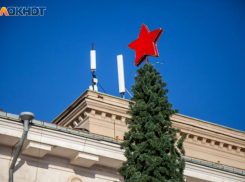 В Волжском жителей приглашают украсить «Народную елку»: оставь свой след в истории