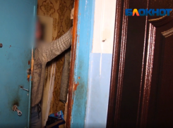 Клоповник устроил одинокий сосед в одном из многоквартирных домов Волжского