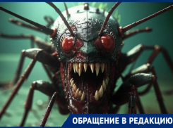 Жителей Волжского атаковали противные насекомые