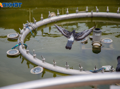 Зачем наши предки клали землю в рот, и как привлекали женихов