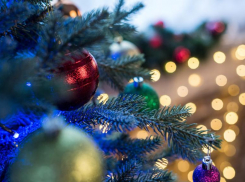 Советы от «Блокнота»: как убрать елку из квартиры, не обронив игл 