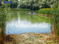 Волжанам надо присмотреться к течению Ахтубы: советы травницы