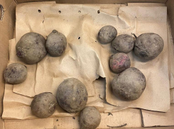 Продуктовая корзина недели: сравниваем цены на свеклу в магазинах Волжского