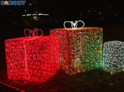 Как пережить новогодние каникулы?