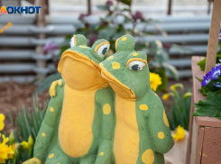 В Волжском аномально потеплеет: прогноз погоды на неделю