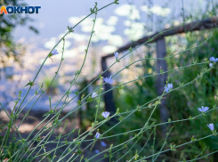 Неделя в Волжском начнется с туч: прогноз погоды на понедельник