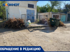 Кто пилил, тот пусть и убирает: в Волжском проблем со свалками веток еще не решили