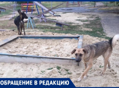 Дети вынуждены играть в собачьих фекалиях под Волжским