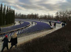 Молодежь, москвичи, владельцы iPhone: кто чаще всего гуляет в парке «Краснодар»