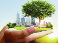 Тридцать лет прошло со дня основания экологической службы