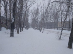 Двадцатиградусные морозы ожидаются в Волжском на этой неделе