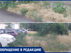 Жители Волжского предрекают большой пожар из-за отсутствия покоса травы 