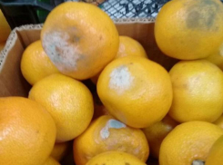 Заплесневелые мандаринчики к празднику для ветеранов продают в «Магните», - волжанка