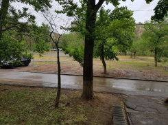 Дождливый четверг прогнозируют синоптики