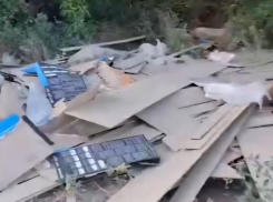 В Волгограде поймали волжан, сваливавших отходы у детской площадки