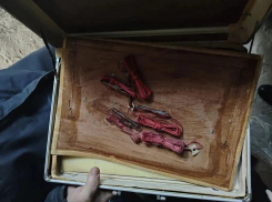 В Кумылженском районе задержали мужчину за незаконное хранение детонаторов