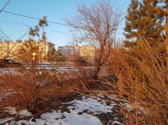 В понедельник утром в Волжском подморозит