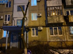 В Волжском бьют тревогу из-за спила деревьев во дворах: видео 