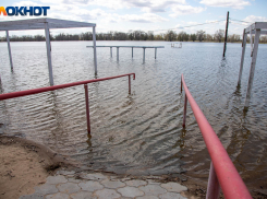 3 миллиона выделили на срочную подготовку пляжа в Волжском к купальному сезону