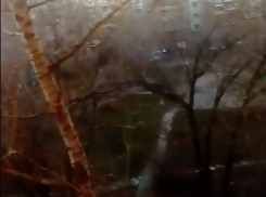 Зеленая трава в январе злит волжан