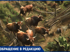«Живем в страхе»: жители хутора жалуются на опасную ферму с быками