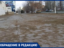  «Елок - нет, иголки остались»: волжанка жалуется на мусор после елочных ярмарок