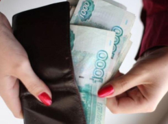 Бизнесвумен из Волжского украла у коллеги 20 тысяч рублей