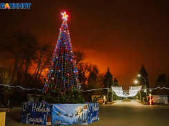 В парке «Волго-Ахтубинская пойма»  стартует предновогодний экологический конкурс