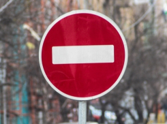 В Волжском перекроют улицы из-за обрезки деревьев