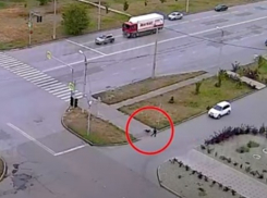 В Волжском нападение собаки на школьника попало на видео