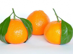 Волжанам стоит соблюдать осторожность при употребление мандаринов
