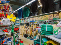 Готовимся к началу дачного сезона: все необходимые покупки в одном месте 