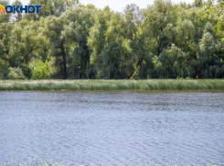 Волжанам нельзя обижать пауков в среду – к финансовым трудностям